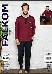 Комплект демісезонний чоловічий, (футболка, довгий рукав + штани), Falkom