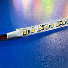 Світлодіодна стрічка OEM ST-50-12-2835-120-CW-V2 (50м) біла, негерметична, 1м, фото 4