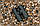 Бінокль Hawke Frontier APO 10x42 Green (38512), фото 8