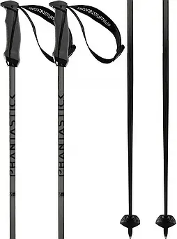 Гірськолижні палиці Volkl Phantastick Carbon poles grey