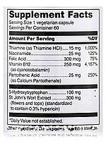 Мозковий настрій, Brain Mood, Douglas Laboratories, 60 вегетаріанських капсул BX210, фото 5