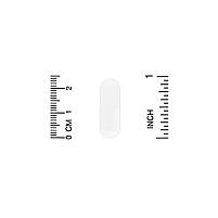 Фітинова кислота (IP-6 інозитол), Cell Forte, IP-6 & Inositol, Enzymatic Therapy, 240 BX972, фото 5