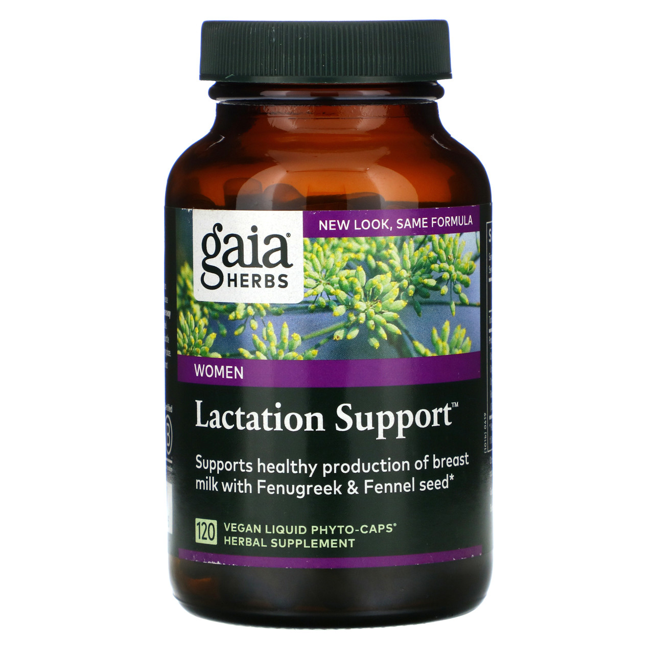 Gaia Herbs, Lactate Support, 120 рослинних фітокапсул із рідиною BX001