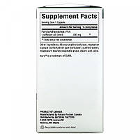 Пальмітоілетаноламід (PEA), PEA 400, Natural Factors, 400 мг, 90 вегетаріанських капсул BX402, фото 3
