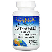 Экстракт Астрагала, Astragalus, Planetary Herbals, 500 мг, 120 таб.