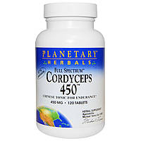 Кордицепс китайский (Cordyceps), Planetary Herbals, 120 табл.