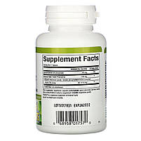 Natural Factors, Фітосоми силіфосу з розторопшею, 160 мг, 60 капсул у рослинній оболонці BX809, фото 3