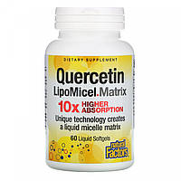 Кверцетин, Quercetin LipoMicel Matrix, Natural Factors, 60 жидких мягких капсул