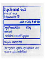 Екстракт імбиру, Ginger Extract, Pure Encapsulations, 120 капсул BX597, фото 5
