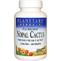 Нопал кактус, Nopal Cactus, Planetary Herbals, 1000 мг, 60 таб.