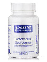 Лактобацил Спорогенс, Lactobacillus Sporogenes, Pure Encapsulations, 60 Капсул