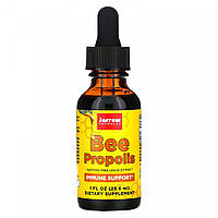 Пчелиный прополис, поддержка иммунитета, Bee Propolis, Immune Support, Jarrow Formulas, 29,6 мл