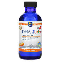 Nordic Naturals, DHA Junior, Great for Ages 3+, Strawberry Flavor, 4 fl oz (119 ml)