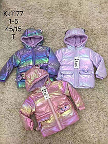 Куртки утеплені для дівчаток оптом, S&D, 1-5 років, арт. KK-1177