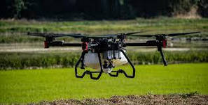 Додаткові товари та пропозиціі