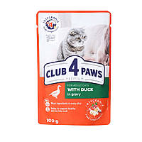 Вологий корм Club 4 Paws Premium для котів з Качкою в соусі 100г (4820215364416)