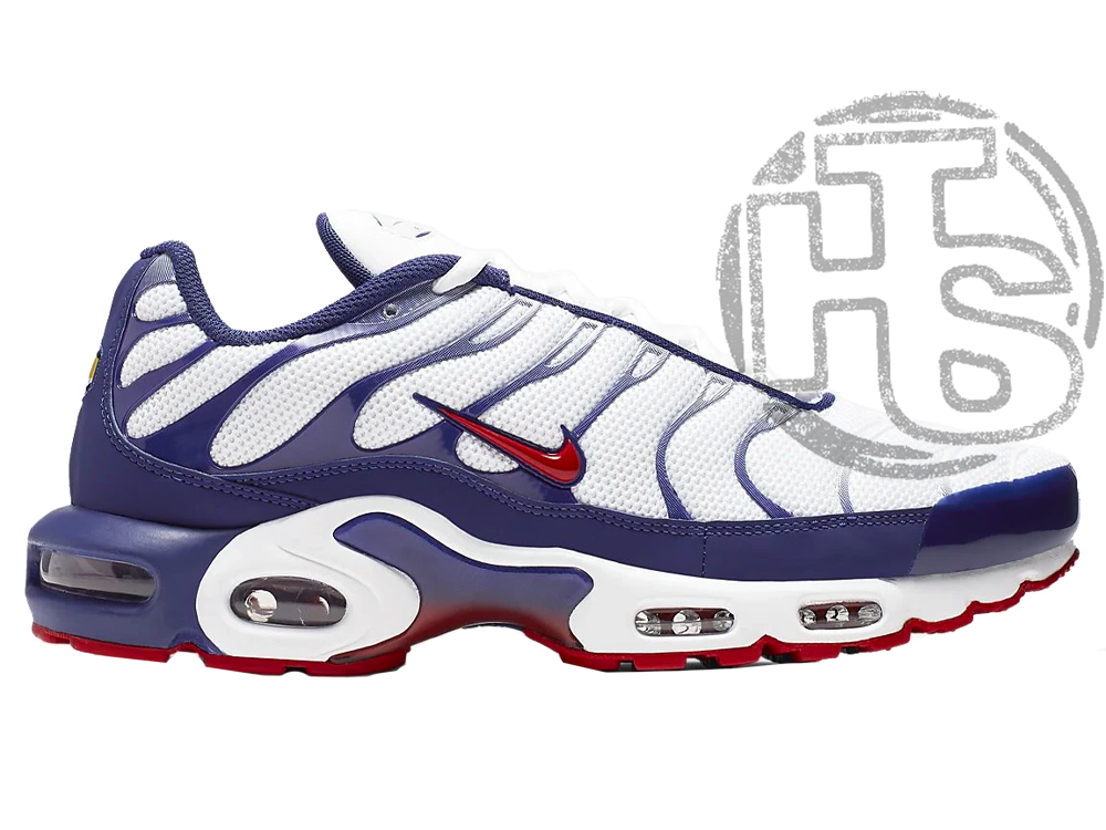 Чоловічі кросівки Nike Air Max Plus White Red Blue CJ9928-100
