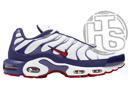 Чоловічі кросівки Nike Air Max Plus White Red Blue CJ9928-100, фото 1