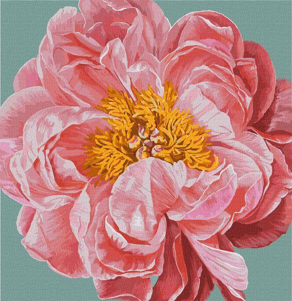 Картина за номерами Pink kiss ©Ira Volkova 40х40 Идейка (KHO2952)