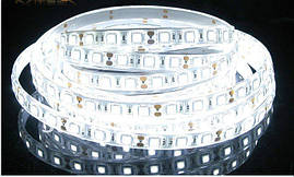 Світлодіодна стрічка LEDTech smd 5050 60led/м 12v ip65 вологозахисту білий стандарт