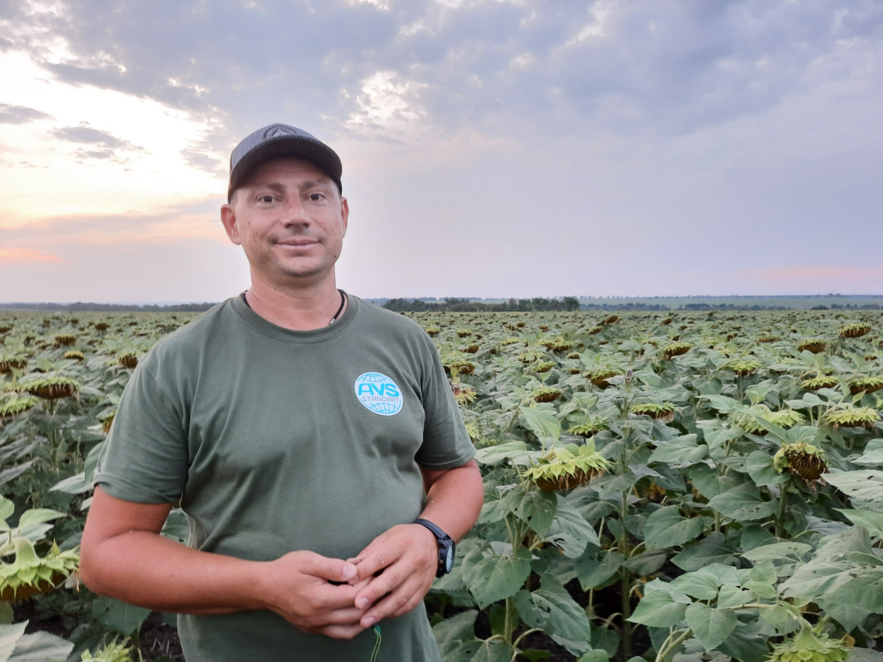 НЕЙМАР ПЛЮС под Гранстар. Гибрид НЕЙМАР ПЛЮС заразиха A-G+. Семена подсолнечника НЕЙМАР ПЛЮС 50ц/га. Премиум - фото 9 - id-p1580943969