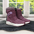 Чоботи дутики жіночі спортивний план на овчині Caroc, фото 5