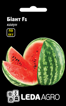 Насіння Кавуна Біант F1, кавун типу Крімсон Світ, 50 шт (Leda Agro)