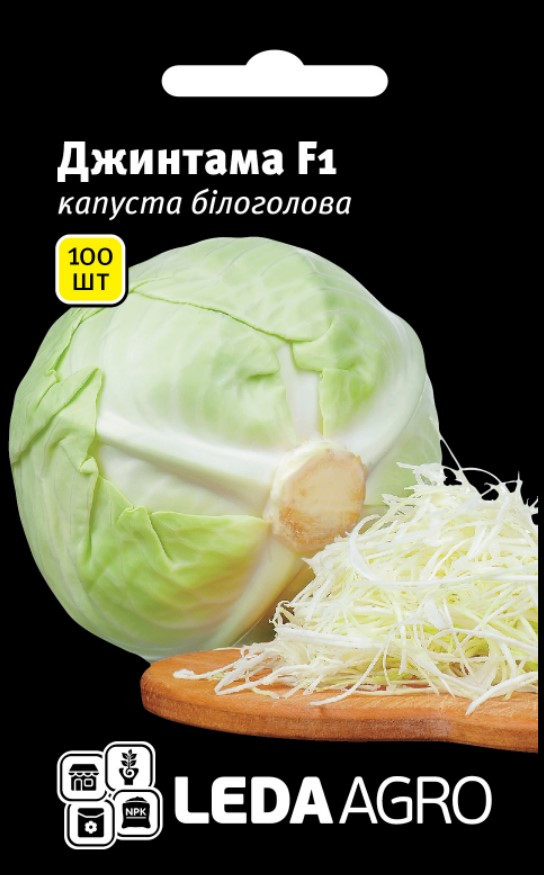 Насіння Капусти білокачанної Джинтама F1, для квашення, 100 шт (Leda Agro), фото 1