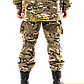 Штани тактичні унісекс мультикам Brotherhood Gorka ріп-стоп армійські для ЗСУ, фото 2