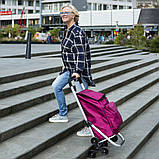 Сумка-візок ShoppingCruiser Stairs Climber 53 Grey (604361), фото 4