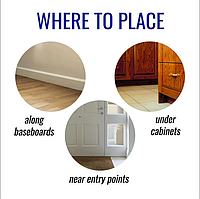 Від мурах у квартирі — TERRO T300, 6 станцій: професійний комплект; знищує від кухні до гнізда, вражає матку, забезпечує тривалий, фото 3