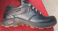 Туфлі на шнурках чоловічі шкіряні від виробника модель ЭД22-111