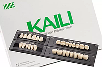 Гарнитур зубов KAILI фасон S - Квадратный 28 шт S2/L2/30, A2