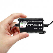 Зарядний пристрій everActive CBC-1 v2 6V/12V 1A LED, для автомобільних акумуляторів, фото 5