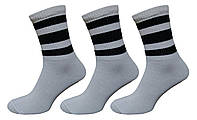 Шкарпетки з високою гумкою смужка Lomani Житомир (0062) р.36-40 білий