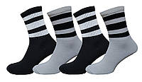 Шкарпетки з високою гумкою смужка Lomani Житомир (0062) р.36-40 мікс