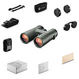 Бінокль Hawke Frontier APO 10x42 Green (38512), фото 3