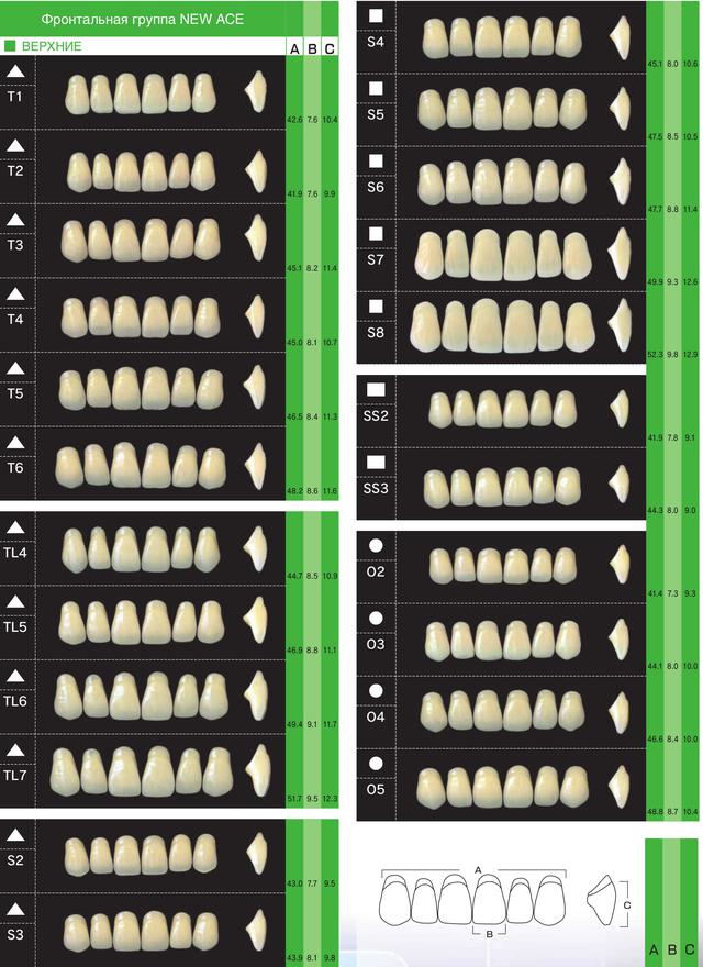 Купить Зубы акриловые D2 полный гарнитур Yamahachi, цена 245 ₴ — Prom ...