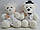М'яка іграшка ведмедик весільний Маріель H32см білий, фото 5