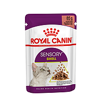 Вологий корм для котів Royal Canin Sensory Smell Chunks in gravy 85 г Акция