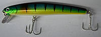 Воблер рыболовный Феима L1008 100мм, вес 9,5г, заглубление 0-1,0м, цвет 05