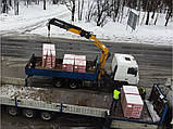 Оренда маніпулятора 10т, фото 4