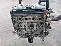 Мотор (Двігач) Peugeot Partner Xara 206 306 Citroen Berlingo KFX 10FS7D 1.4 бензин 96-03г.в TU3JP, фото 6