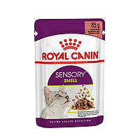 Royal Canin Sensory Smell Chunks in gravy 85 г корм для котов в паучах Роял Канин Сенсори Смелл Соус