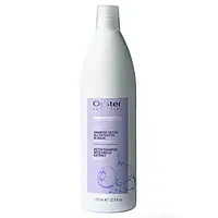 Шампунь детокс с экстрактом чеснока Oyster Sublime Detox Shampoo with garlic extract 1000 мл