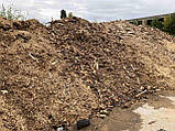 Тріска деревна соснова відход дешево самовивоз коло Фастова, фото 5