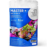 Добриво Мастер (Master) 13.40.13, Валагро (Valagro) Італія, 250 г, фото 2