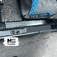 Накладки на внутрішні пороги BMW i3 з 2013- (Nataniko)