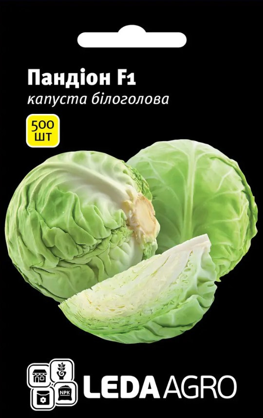 Насіння Капусти білокачанної Пандіон F1, компактна, суперранній гібрид 500 шт (Leda Agro), фото 1