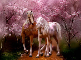 Друк їстівного фото — А4 — Вафельний папір — Коні No5